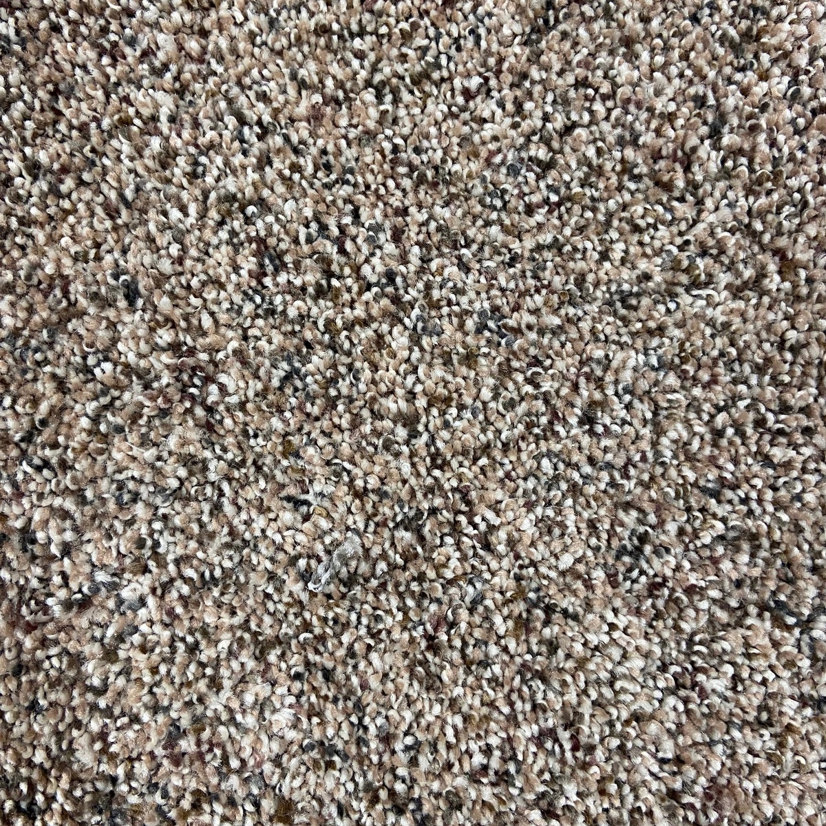 carpet